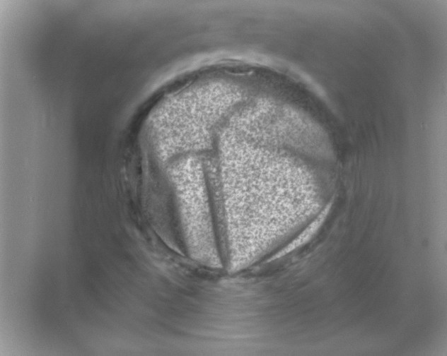 X0000068721496200605192239