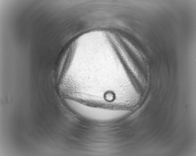 X0000068721497200605192239