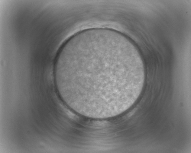 X0000068721498200605192240