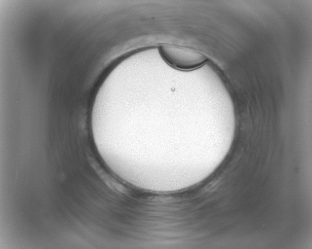 X0000068721499200605192240