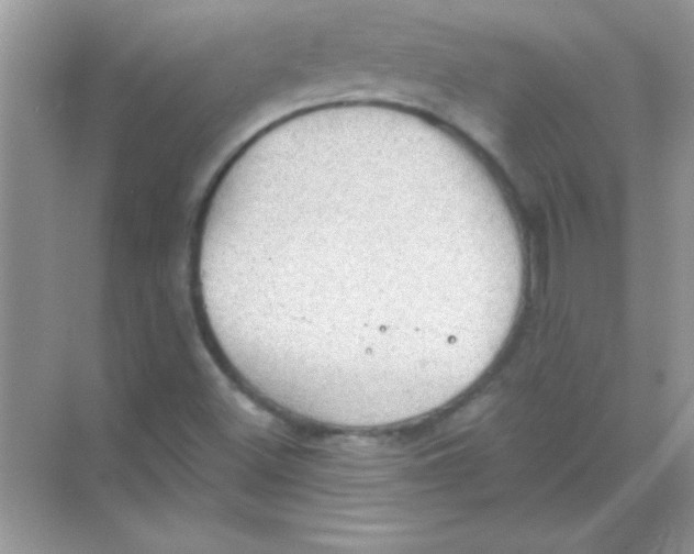 X0000068721500200605192240