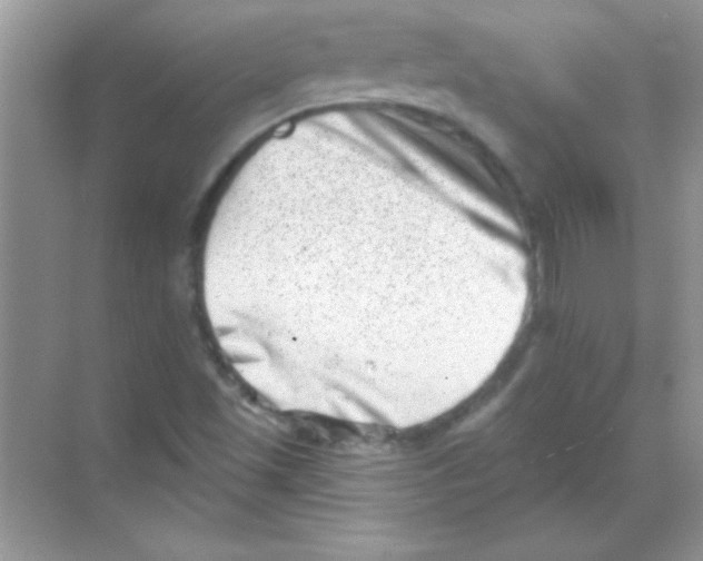 X0000068721501200605192240