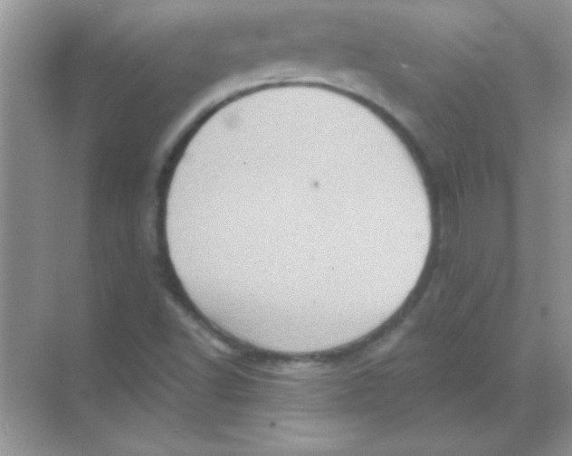 X0000068721502200605192240