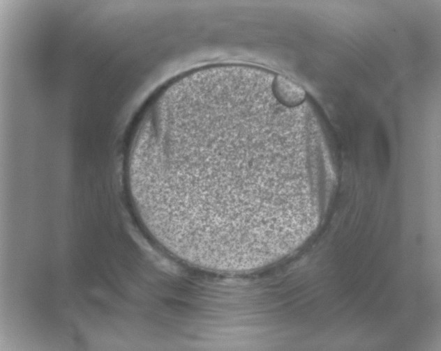 X0000068721503200605192240