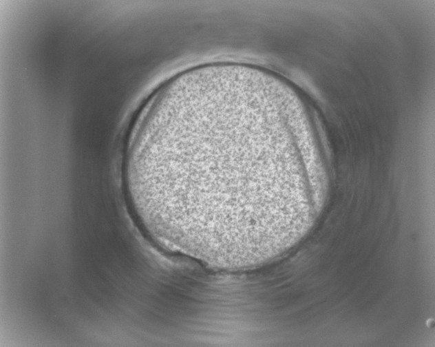 X0000068721504200605192240