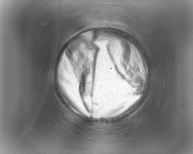 X0000068721505200605192240