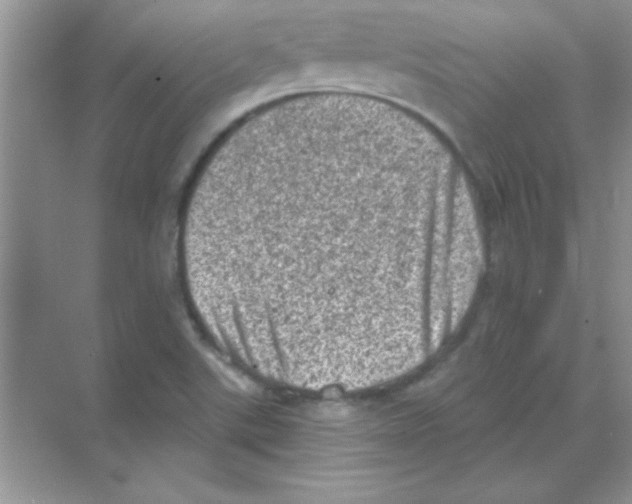 X0000068721507200605192240