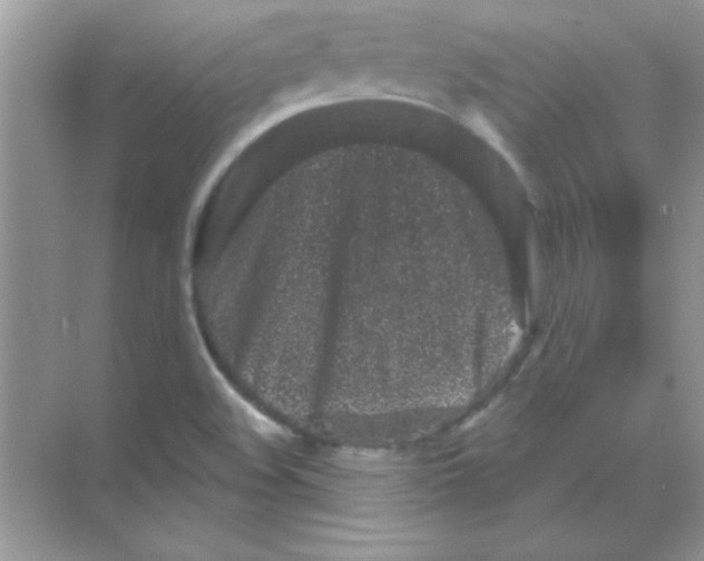 X0000068721508200605192240