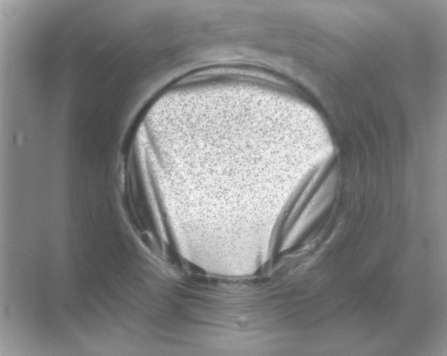 X0000068721509200605192240