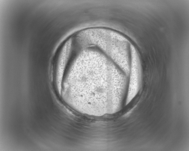 X0000068721510200605192240