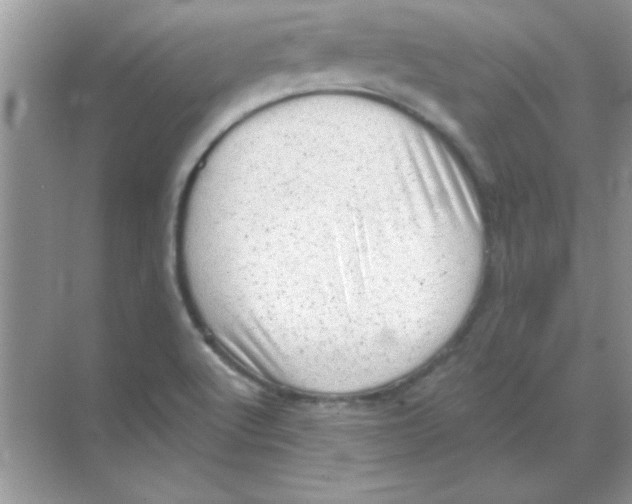 X0000068721512200605192240