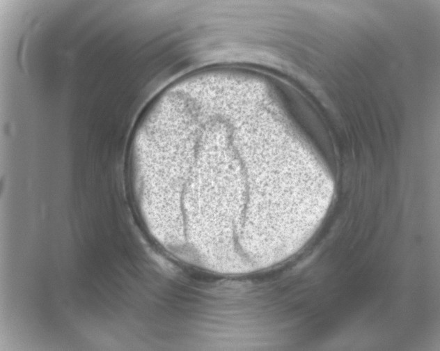 X0000068721513200605192240