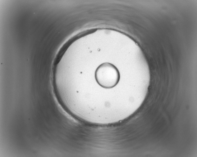 X0000068721518200605192240