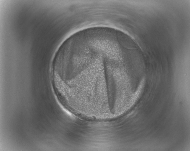 X0000068721519200605192240