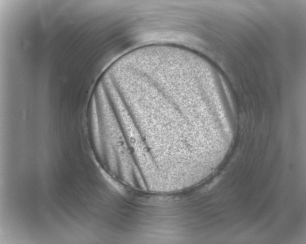 X0000068721521200605192240