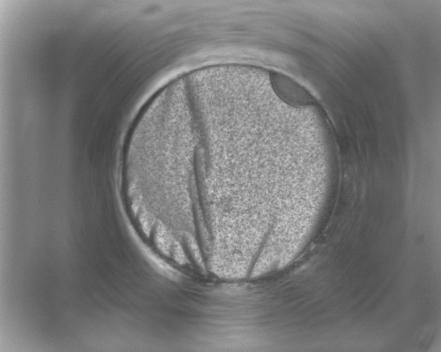 X0000068721523200605192240