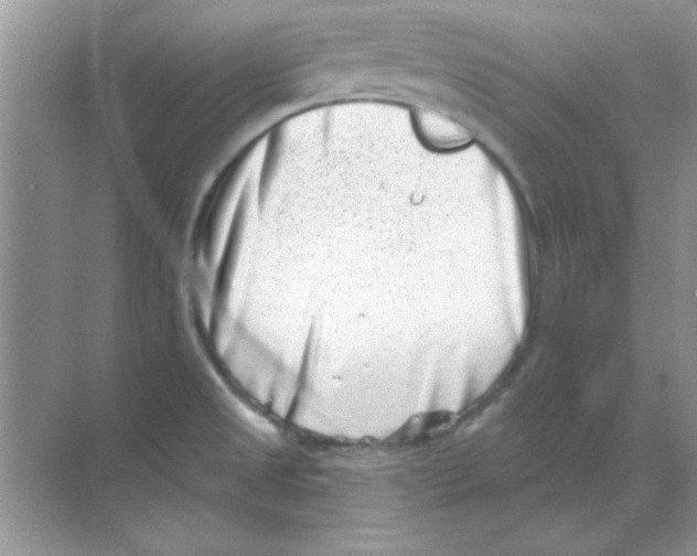 X0000068721525200605192240