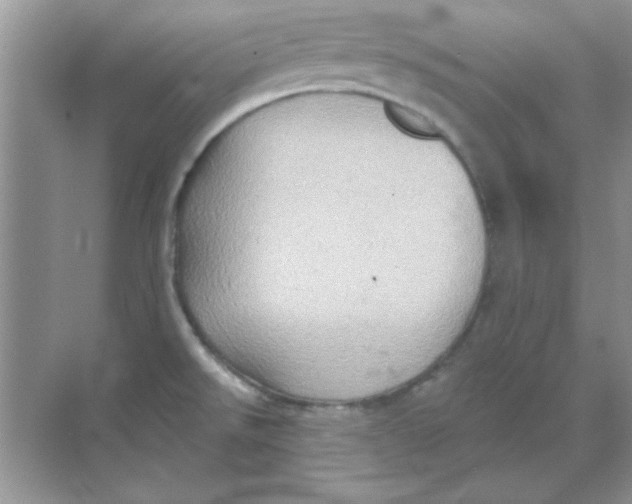 X0000068721526200605192240