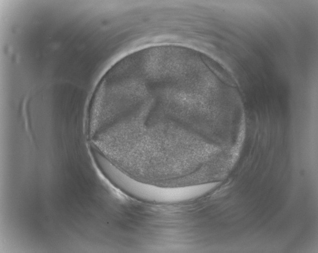 X0000068721527200605192240