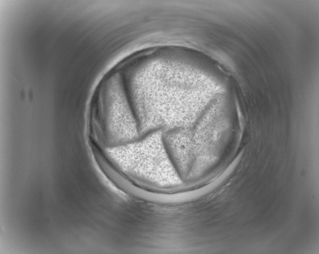 X0000068721528200605192240