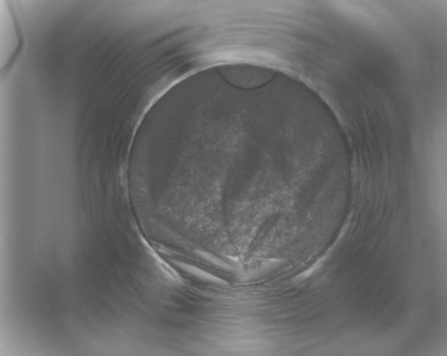 X0000068721529200605192240