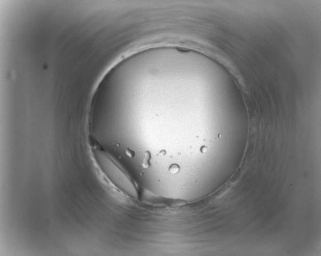 X0000068721530200605192240