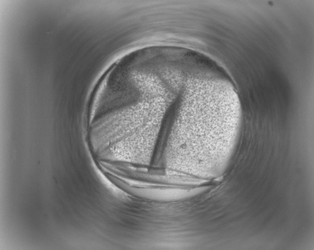 X0000068721531200605192240