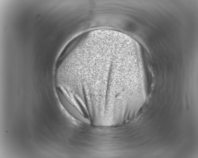 X0000068721532200605192240