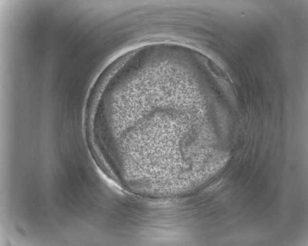 X0000068721535200605192240