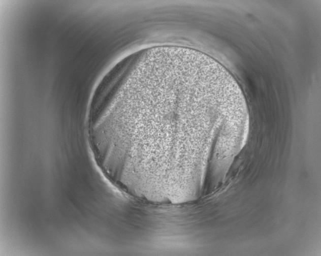 X0000068721536200605192240