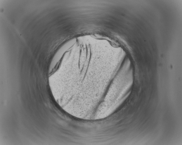 X0000068720017200605262012
