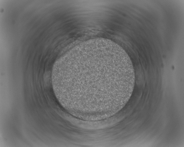 X0000068720034200605262012
