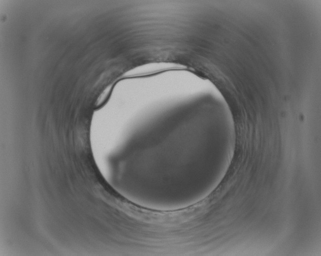 X0000068720035200605262012