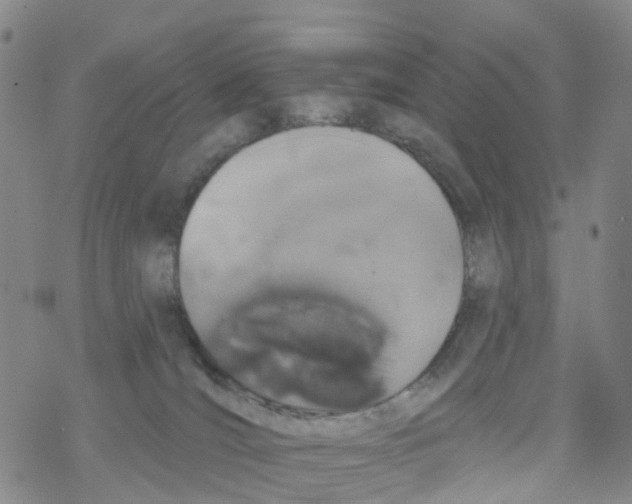 X0000068720036200605262012