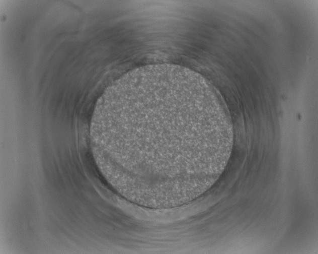 X0000068720038200605262012