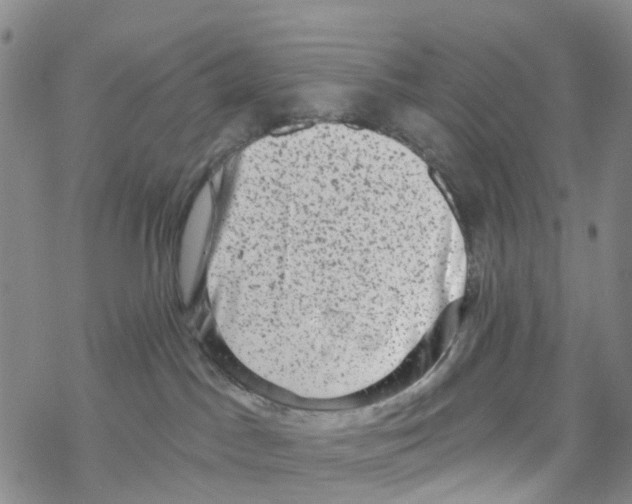 X0000068720045200605262011