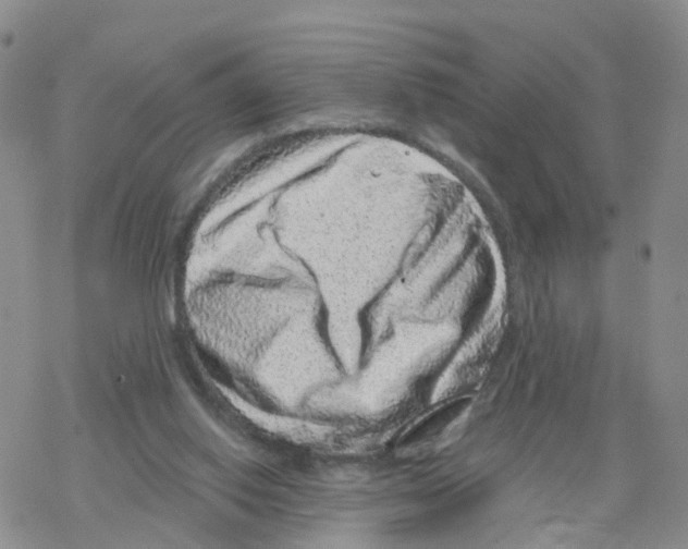 X0000068720062200605262011