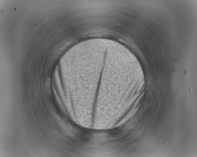 X0000068720066200605262011