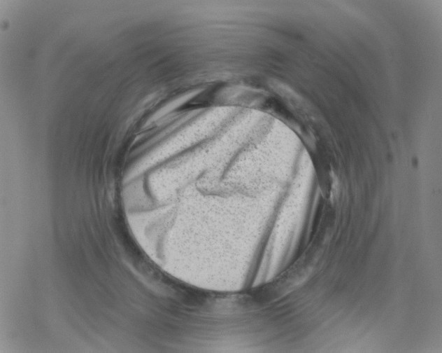 X0000068720072200605262011