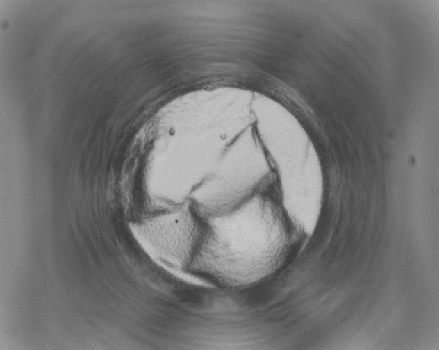 X0000068720073200605262011