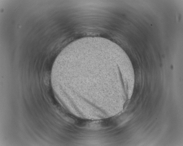 X0000068720078200605262011