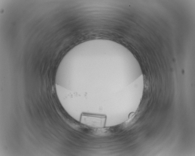 X0000068720086200605262011