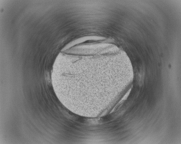 X0000068720089200605262011