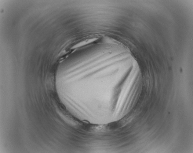 X0000068720092200605262011