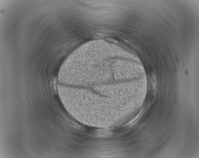 X0000068720094200605262011