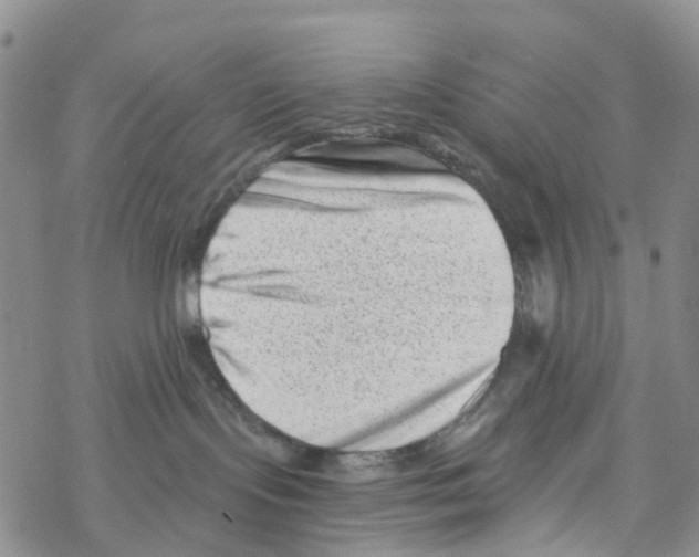 X0000068720095200605262011