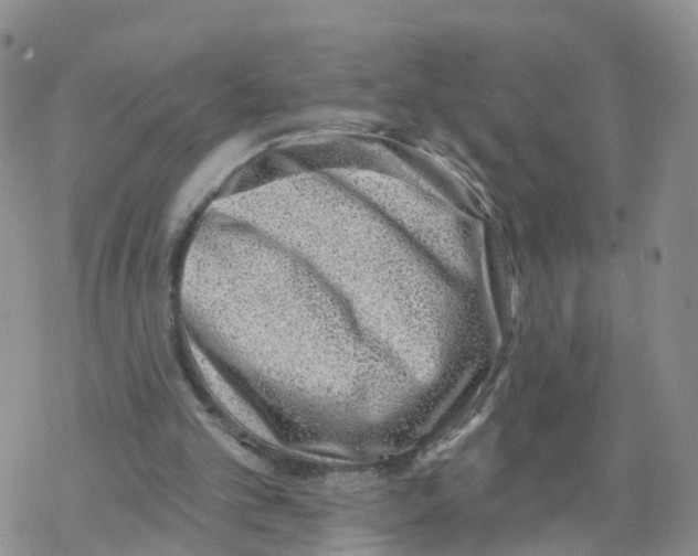 X0000068720101200605262011