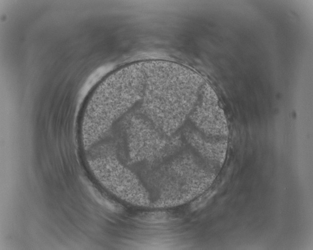 X0000068720104200605262011