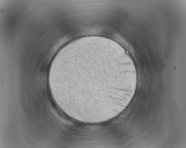X0000068720107200605262010