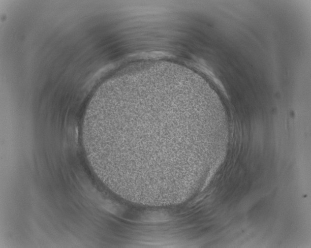 X0000068720110200605262010